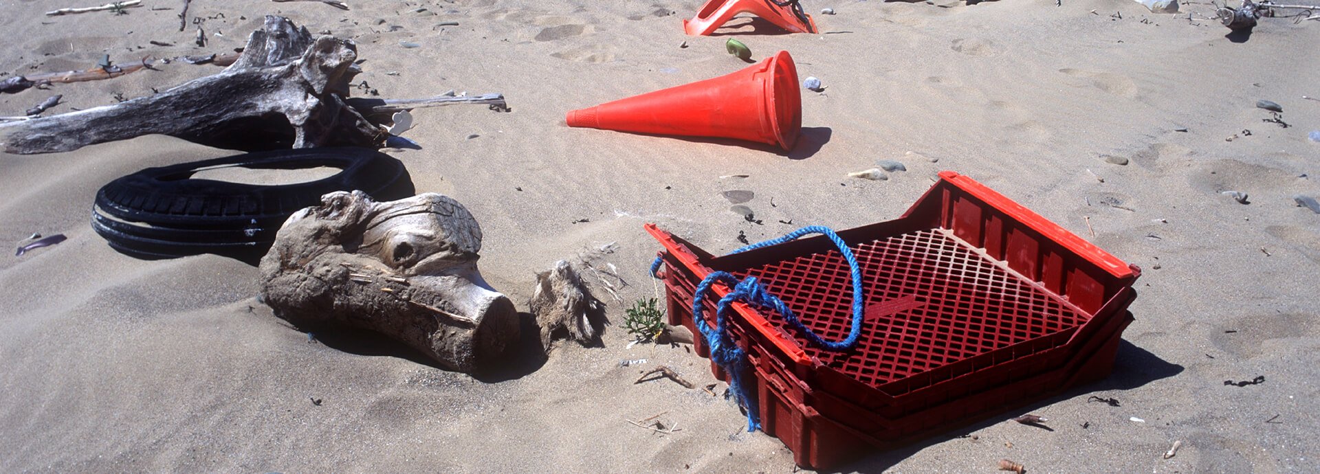 Plastic Pollution