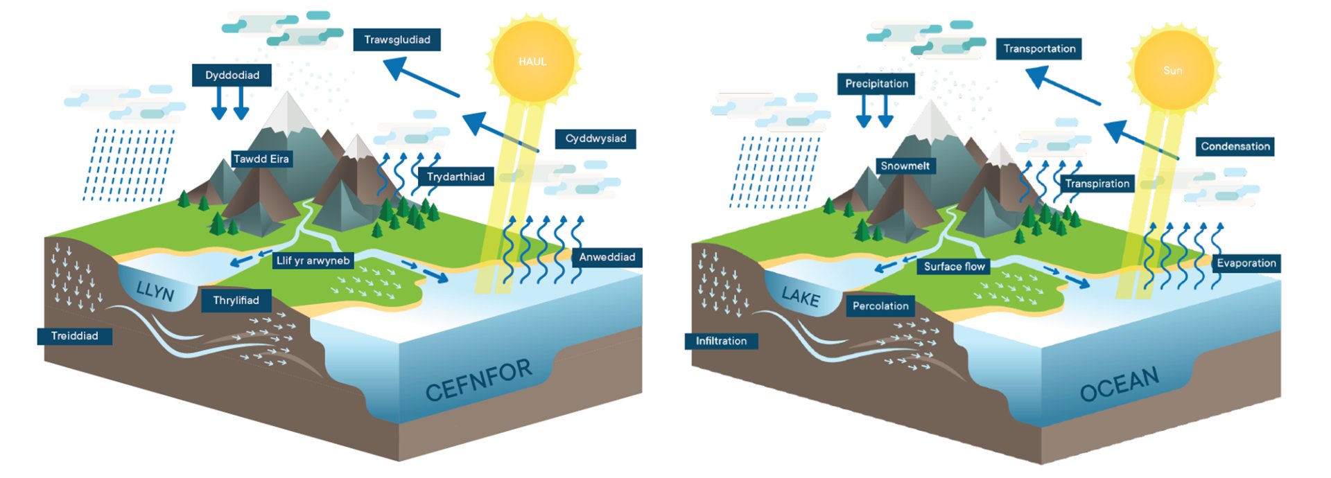 Water cycle