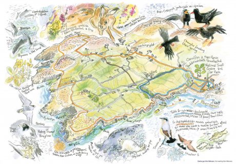 Aberdaron Wildlife Safari
