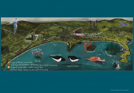 Porthdinllaen Wildlife Safari