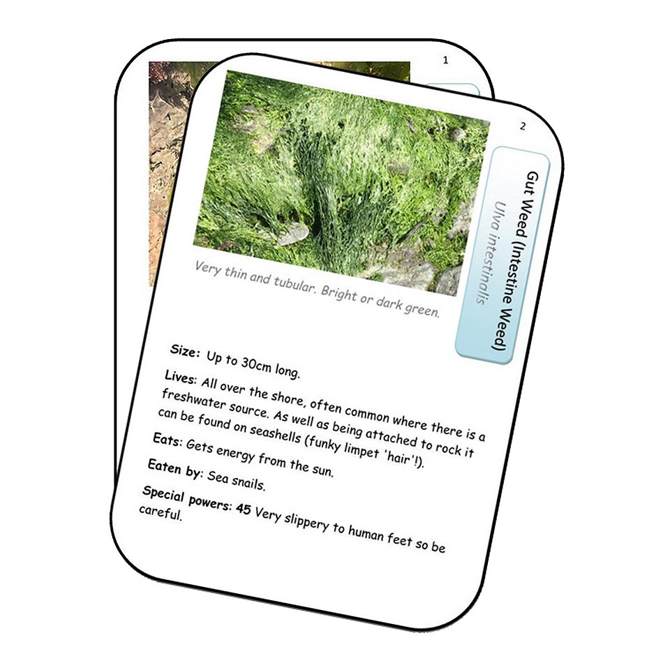 Top trumps