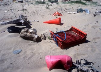 Plastic Pollution